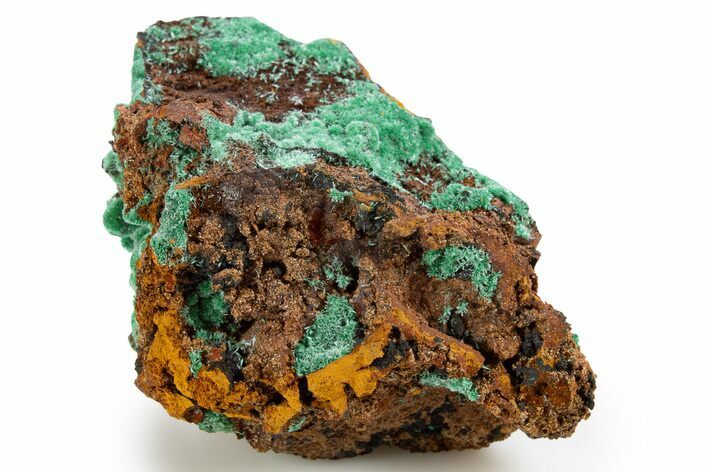 Fibrous Malachite on Limonite Matrix - Mexico #330585